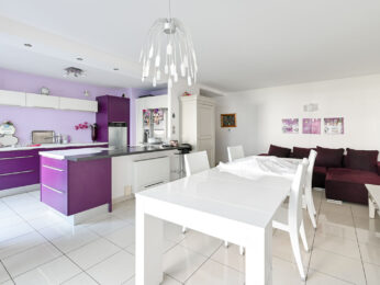 Appartement 4 pièces Villeurbanne 69100
