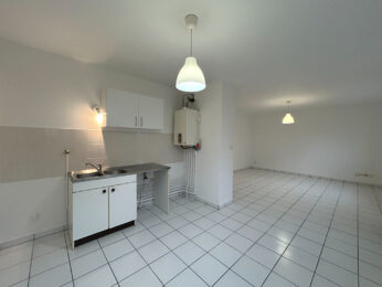 Appartement 2 pièces CALUIRE 69300