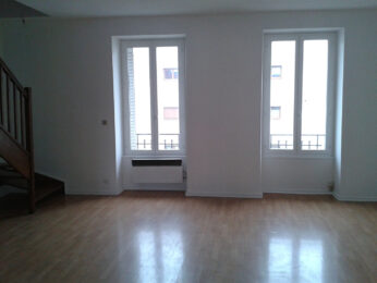 Appartement 3 pièces VILLEURBANNE 69100