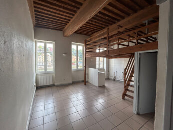Appartement 2 pièces Lyon 69009