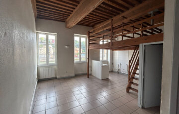 Appartement 2 pièces Lyon 69009