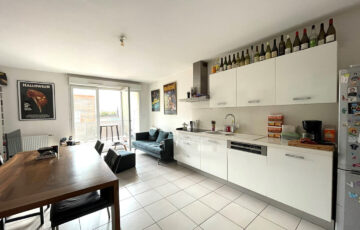 Appartement 3 pièces Villeurbanne 69100