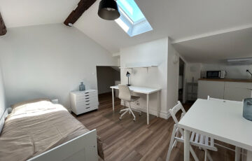 Appartement 1 pièce Lyon 69002