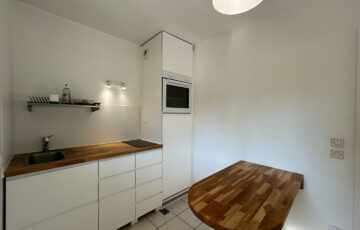 Appartement 1 pièce VILLEURBANNE 69100