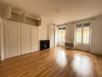 Appartement 3 pièces VILLEURBANNE 69100