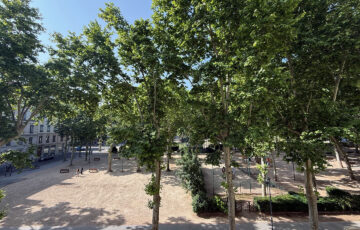 Appartement 3 pièces Lyon 69006