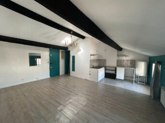 Appartement 1 pièce Lyon 69007 Surface de 27 m²