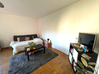 Appartement 1 pièce Lyon 69006