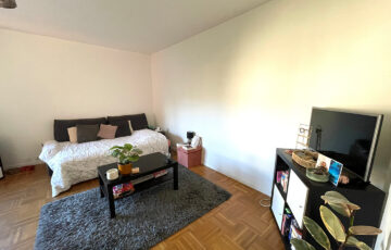 Appartement 1 pièce Lyon 69006