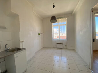 Appartement 1 pièce Lyon 69007 Surface de 38 m²