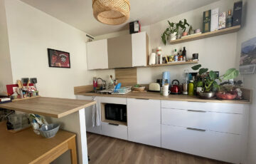 Appartement 1 pièce Lyon 69003