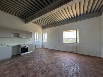 Appartement 3 pièces ALBIGNY SUR SAONE 69250