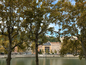Appartement 3 pièces Lyon 69002