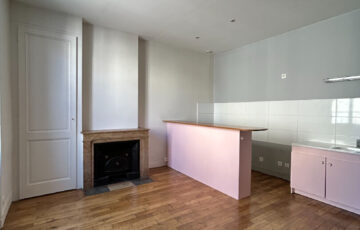Appartement 3 pièces Villeurbanne 69100