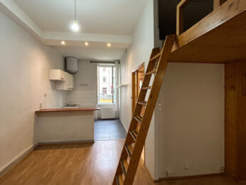 Appartement 2 pièces Lyon 69007