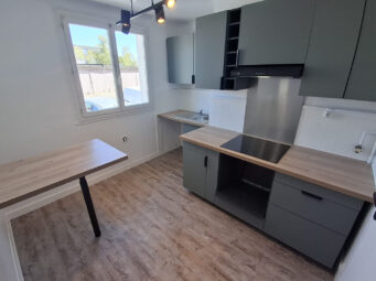 Appartement 3 pièces CALUIRE ET CUIRE 69300 Surface de 52 m²